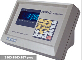 XK3190—D2+